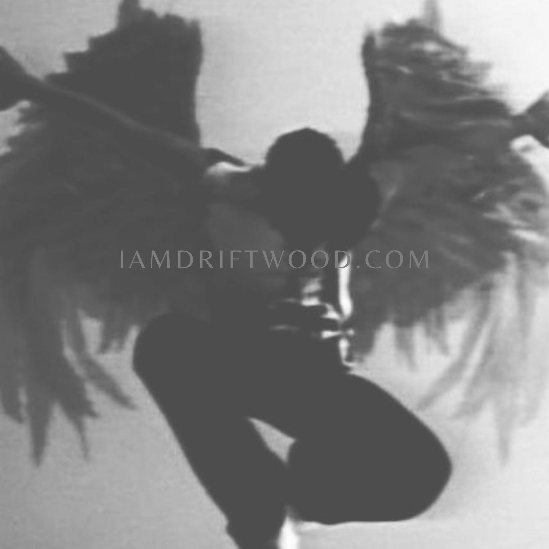Driftwood. EPK hero artwork